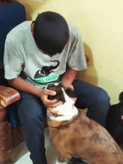 A quiet moment of affection with one of our brindle-coated guests.