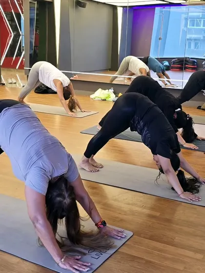 A class practicing Adho Mukha Svanasana (Downward-Facing Dog). This foundational pose energizes the entire body, lengthens the spine, and increases circulation to the brain.