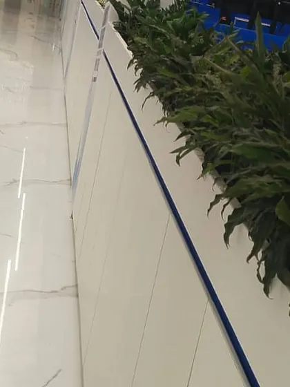 This angle highlights the clean integration of our planter boxes within the office layout. The lush foliage offers a refreshing contrast to the polished marble floors and white paneling, contributing to a more balanced and pleasant atmosphere.