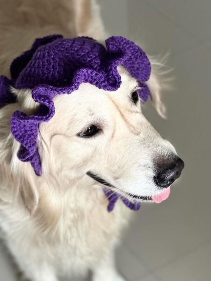 A top-down view of the crochet pet hat, complete with a little tongue-out blep. These are lightweight and have tie-straps to keep them secure.