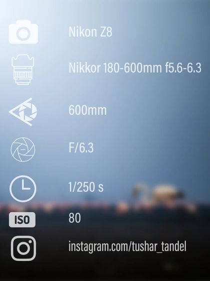 Navi Mumbai's Urban Oasis photo 18