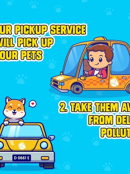 Our process is simple and designed for your peace of mind. First, our specialized pet transport service will pick up your pets from your doorstep. Then, we take them for a comfortable and safe ride, away from the city's noise and pollution.