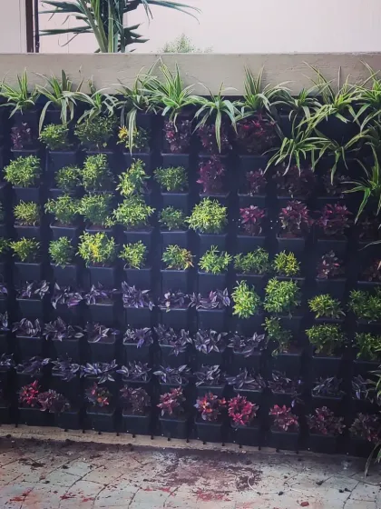 A detailed view of a vertical garden pattern. I arranged rows of green, purple, and red foliage plants, including Tradescantia, to create a textured, multi-tonal effect on this living wall.