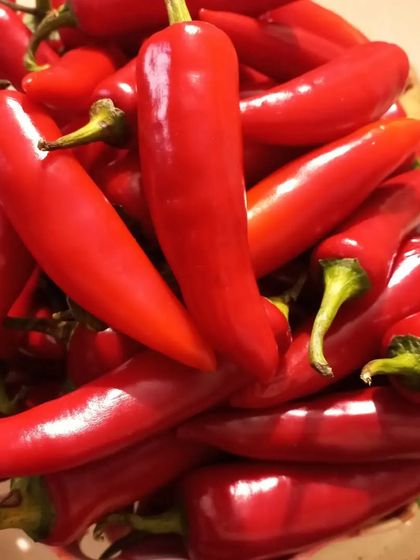More fresh red chillies for a new batch. I prepare my pickles in small batches to maintain freshness and quality control.