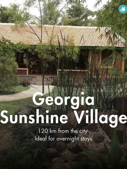 The Pack - Pet-Friendly Adventures & Meetups Pet-Parent Resources: Guides & Tips photo 26