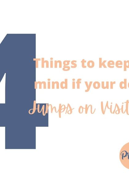 Does your dog jump all over visitors? It's a common issue! I have a simple, 4-step process to help you teach them polite greetings, making visits from friends and family much more relaxed.