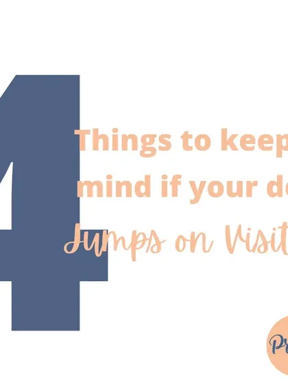 Does your dog jump all over visitors? It's a common issue! I have a simple, 4-step process to help you teach them polite greetings, making visits from friends and family much more relaxed.