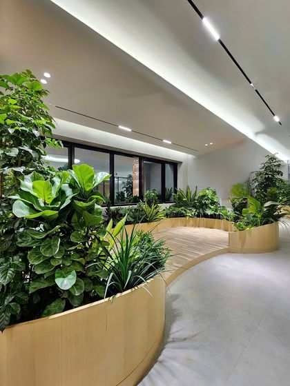 This serene biophilic workspace in Hyderabad reflects the owner's commitment to sustainable living. We designed these custom curved planter beds filled with a variety of indoor plants to create a harmonious and productive office environment.