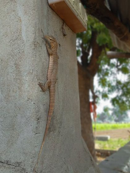 A Glimpse into My World photo 18