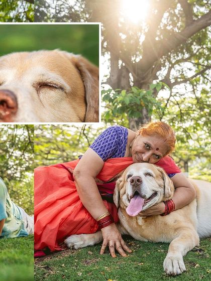Pawparazzi By Prathima - Pet Milestone Photography Senior Tributes & Golden Years photo 46