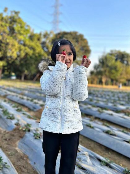 Farmus - Farm Day Out Experience The Joy of the Harvest photo 20