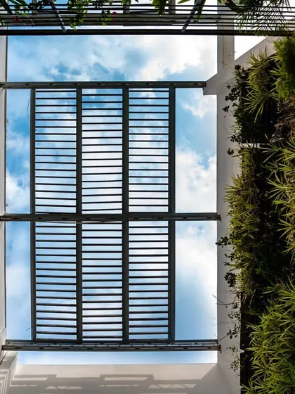 A view looking up at the bamboo pergola and green wall at the building's entrance. These elements provide shading on the south-west facade and create a dramatic, nature-filled entry experience.
