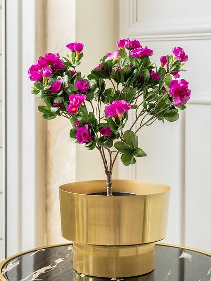 The same spring blooms are also available in a beautiful magenta. These small artificial plants are great for adding a touch of color to smaller spaces like bookshelves or office desks.