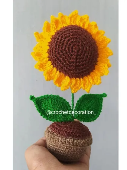 A classic potted sunflower, held in hand to show its size.