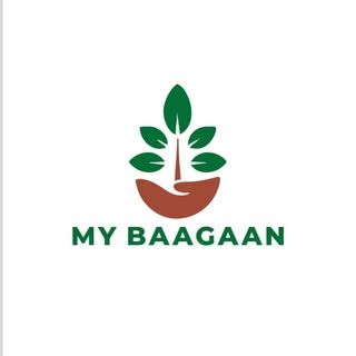 My Baagaan