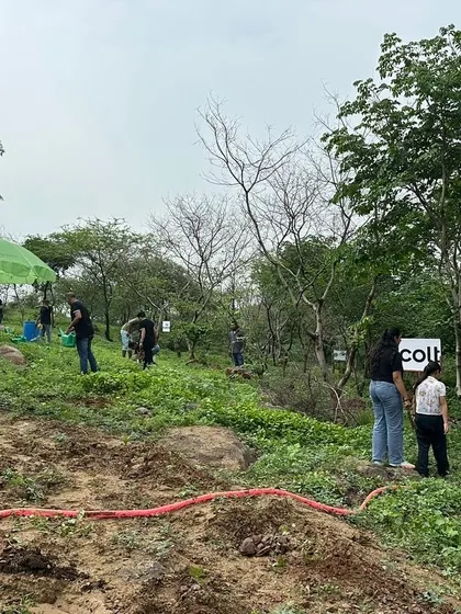 A wide view of the Colt Technology Services planting drive, with volunteers spread across the green hills of Aravali Nagar Van, each contributing to the collective effort.