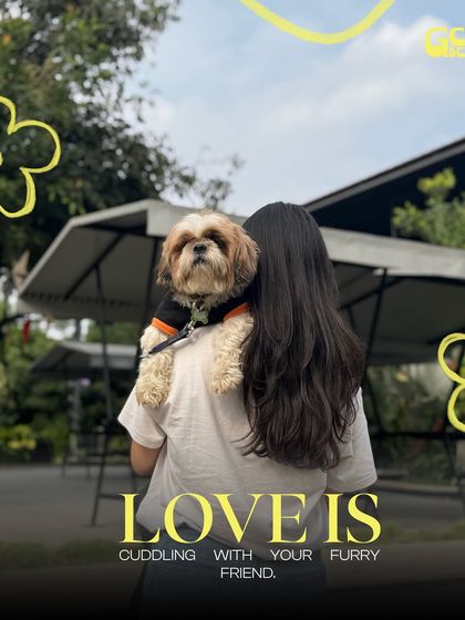 Sometimes, love is just a quiet cuddle with your best furry friend. I provide the perfect, peaceful backdrop for these special moments.