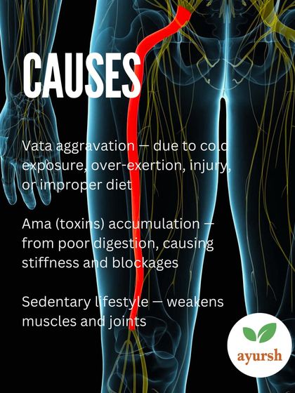 Ayursh - At-Home Ayurvedic Treatments Ayurvedic Pain Management photo 13