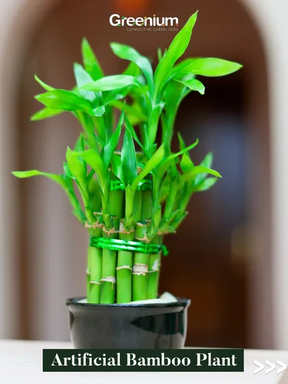 This artificial Bamboo Plant brings a sense of calm and zen to your space. It's a perfect, low-maintenance option for a desk, shelf, or small corner that needs a touch of green.