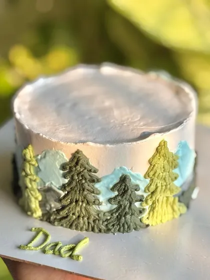 Adventure on a plate! This nature-inspired bento cake with piped trees and mountains was crafted for an adventure-loving dad.