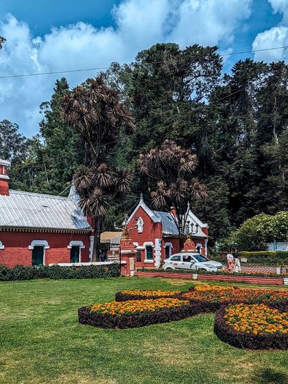 The beautiful Sims Park in Coonoor, known for its unique botanical collection and well-maintained lawns. A peaceful stop on our Ooty trip.