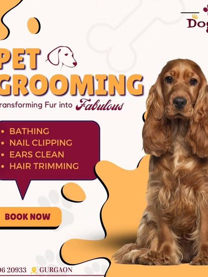 I transform fur into fabulous with a complete range of pet grooming services. My offerings include bathing, nail clipping, ear cleaning, and hair trimming to cover all your pet's needs.