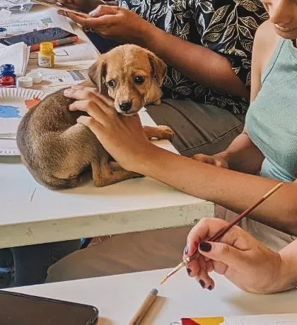 A puppy gets a gentle pat while sitting on the table amidst art supplies, curious about the creative process.
