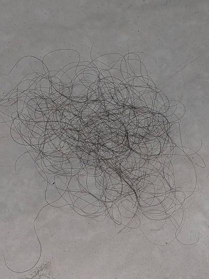 This is another visual of 100 shed hairs on a flat surface. Don't waste time on ineffective remedies if you are losing more than this; a proper diagnosis is key to an effective treatment plan.