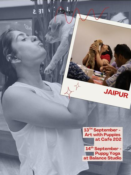 Jaipur, get ready. Here are our September dates for Art with Puppies and Puppy Yoga.
