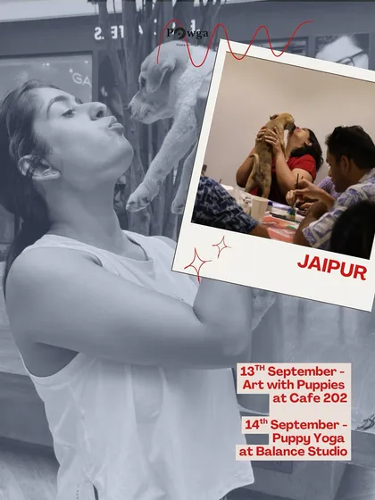 Jaipur, get ready. Here are our September dates for Art with Puppies and Puppy Yoga.