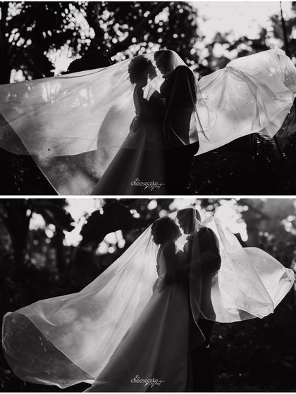 A dramatic black and white silhouette created with the bride's long veil against the light.