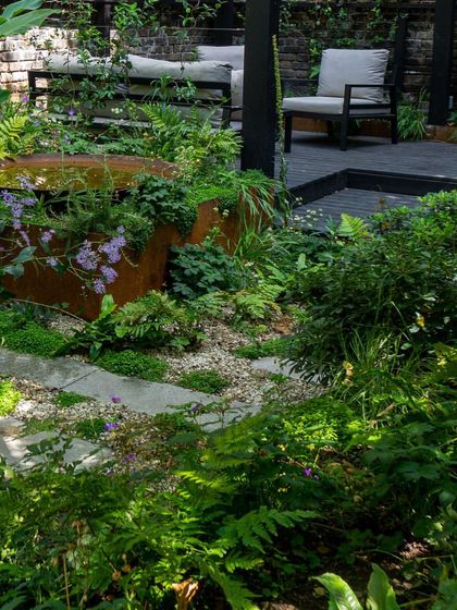 A lush, layered planting scheme in a shady corner. We use a variety of textures, from fine ferns to broad-leafed perennials, to create interest in low-light areas.