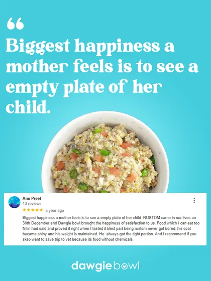 This review from a fellow pet parent truly touches my heart. 🧡 Seeing your furry child lick the bowl clean is a joy like no other, and it’s the reason I started this journey. We provide food that is so pure, even you can taste it, ensuring your pet never gets bored and their health shines through.