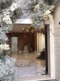 Eco-Friendly Decoration