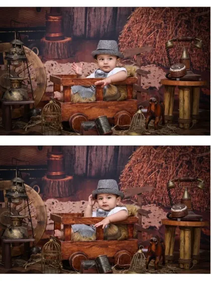 A two-photo collage from the vintage barn shoot. The set includes classic props like an old-fashioned telephone and birdcages, adding authentic detail to the scene.