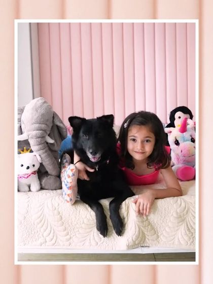 A girl and her black indie dog, Pakodi, pose among a collection of stuffed animals. This sweet portrait in a pink-themed room captures the innocence and fun of childhood.