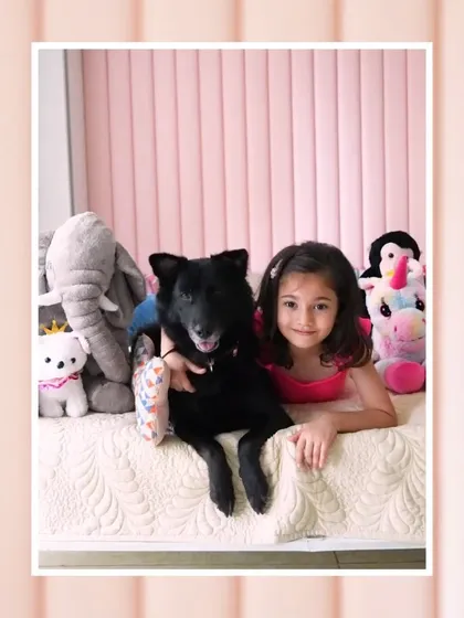 A girl and her black indie dog, Pakodi, pose among a collection of stuffed animals. This sweet portrait in a pink-themed room captures the innocence and fun of childhood.