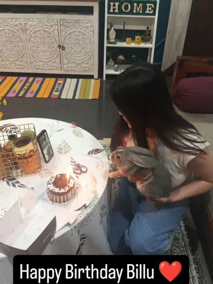 Every pet deserves to feel special, especially on their birthday. Here we are celebrating Billu the rabbit's big day with a special cake and lots of cuddles.