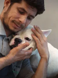 Pet Grooming