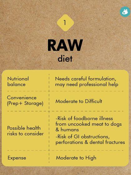 The Pack - Pet Parent Education & Workshops The Healthy Bowl: Canine Nutrition & Recipes photo 32