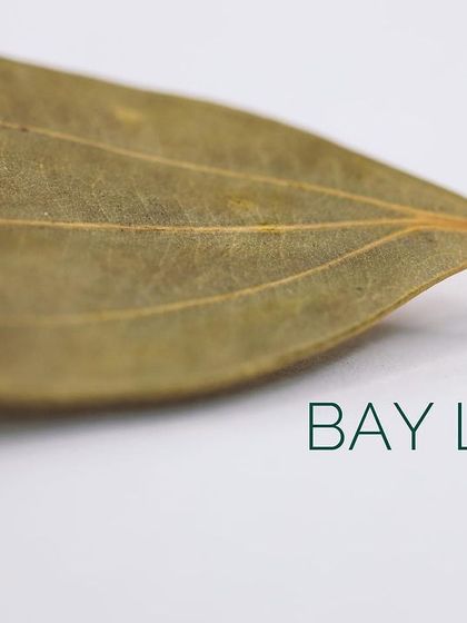 A close-up of a dried bay leaf, an essential aromatic in our culinary toolkit.