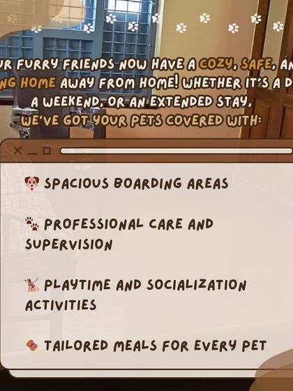 Anvis - Dog Boarding Our Other Expert Services photo 3