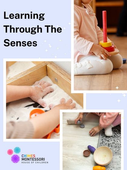 Chimes Montessori - Toddler Program (From 18 months) The Montessori Way: Learning for Life photo 50