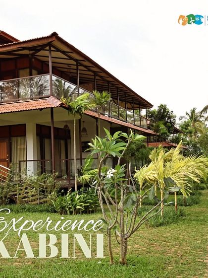 Discovery Village Resorts - Nature-based Getaways & Stays Our Accommodations: Your Home in Nature photo 106