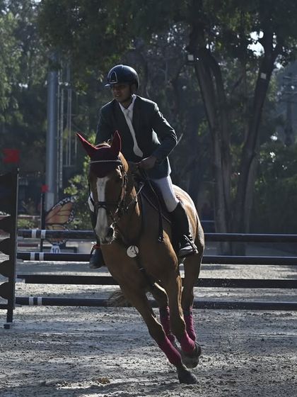 Show Jumping Excellence photo 6