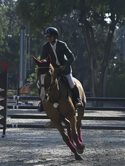 A head-on view of a rider and horse approaching a jump, showcasing the trust and communication essential for a clear round. Our coaching focuses heavily on building this partnership.
