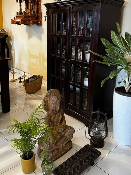 Make My Garden - Nursery & Gardening Store (Retail) Indoor & Air Purifying Plants photo 16