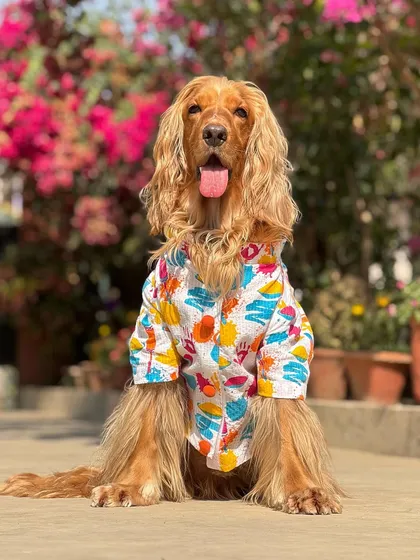 A fun AI-generated photo of Posto, transforming his festive Holi picture into an animated masterpiece.