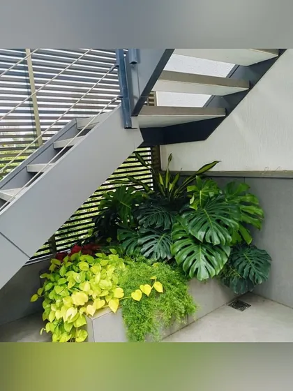 Even the space under a staircase can be a garden. We filled this built-in planter with a variety of indoor plants like monstera and money plant, bringing a touch of vibrant green to an often-overlooked area.
