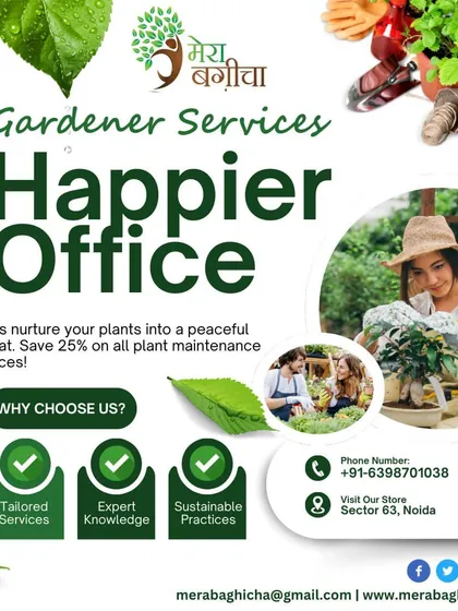 A greener office is a happier and more productive office. My gardener services are tailored to your specific needs, using expert knowledge and sustainable practices to ensure your plants are always thriving and your space feels like a peaceful retreat.